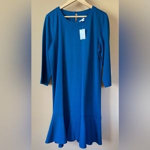NWT J. Jill Oxford Blue Dress US size 12P